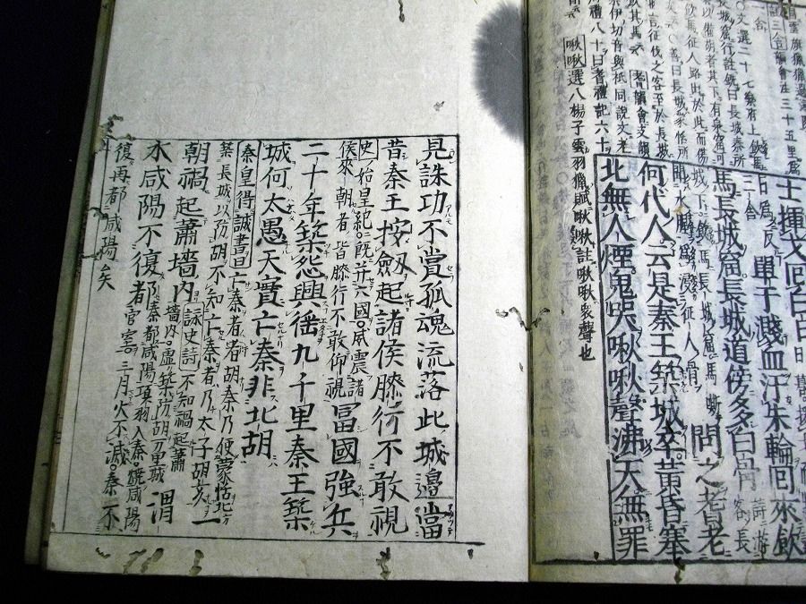 イメージ 8