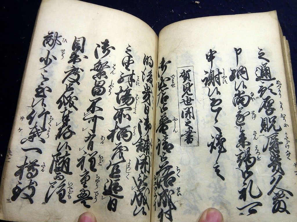 イメージ 6