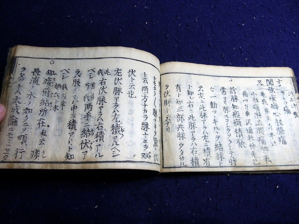 イメージ 6