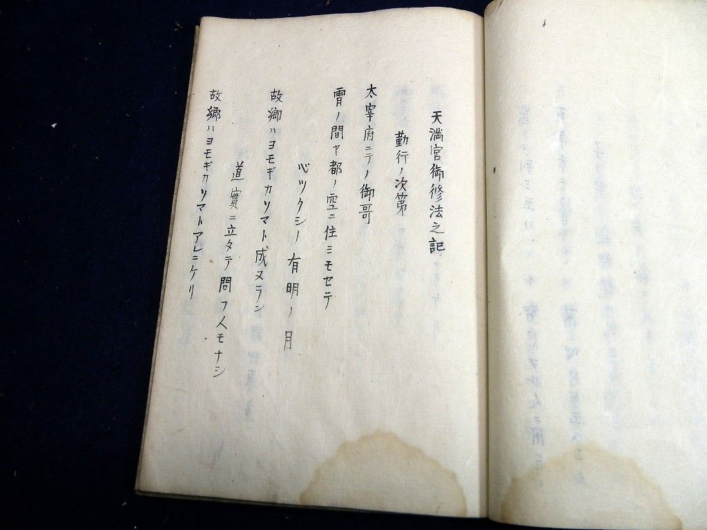 イメージ 9