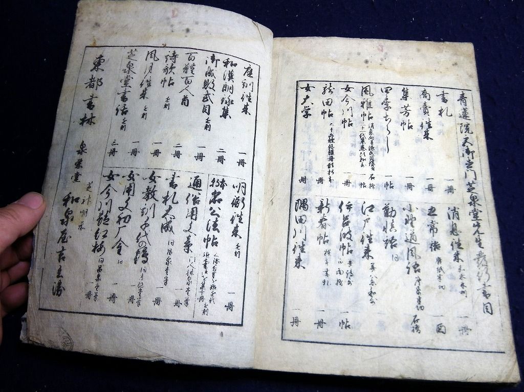 イメージ 12