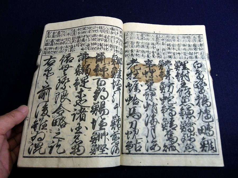イメージ 5