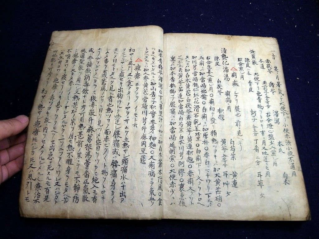 イメージ 9