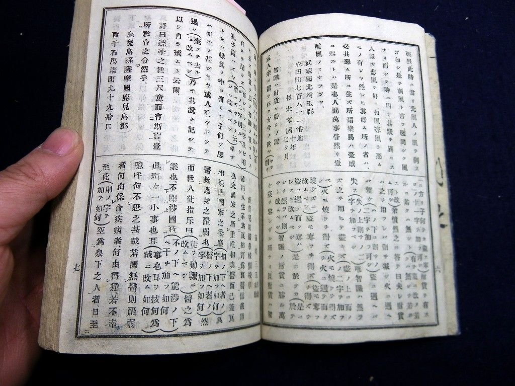 イメージ 3