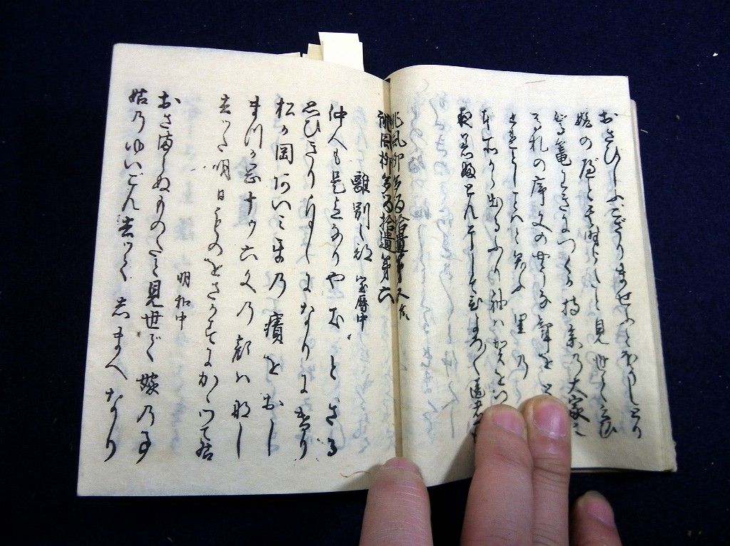 イメージ 5