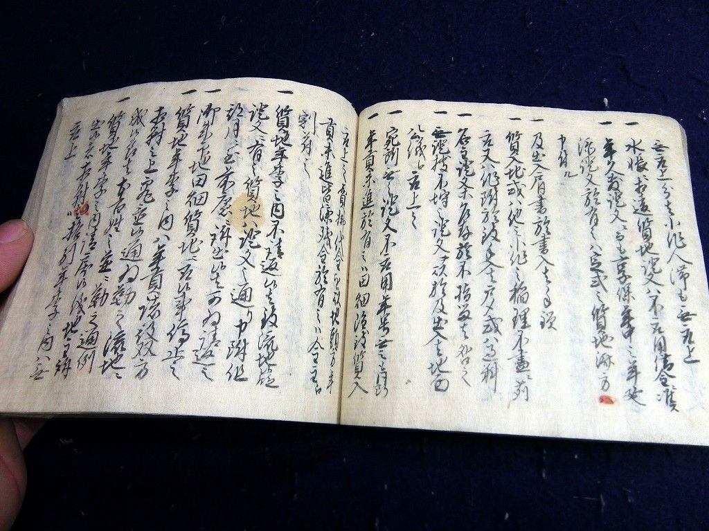 イメージ 6