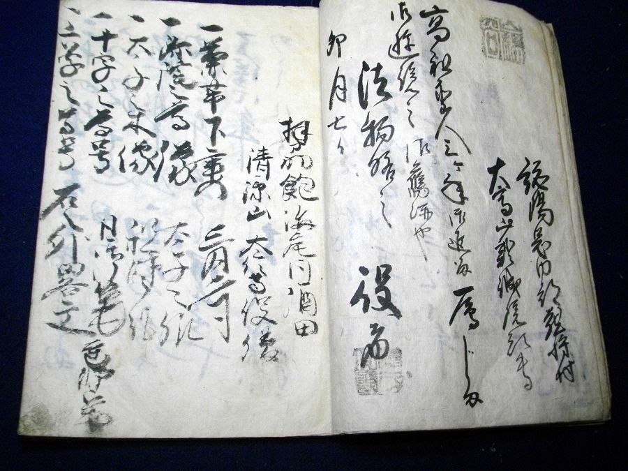 イメージ 5