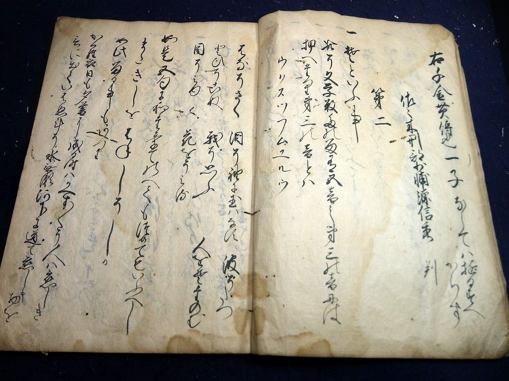 イメージ 6
