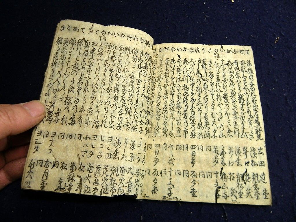 イメージ 7