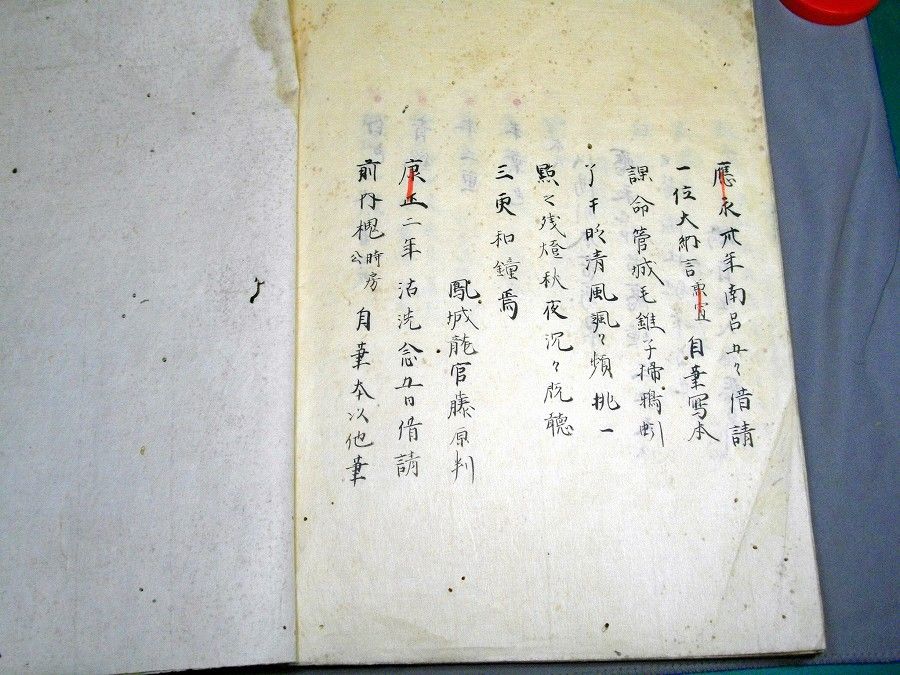イメージ 5