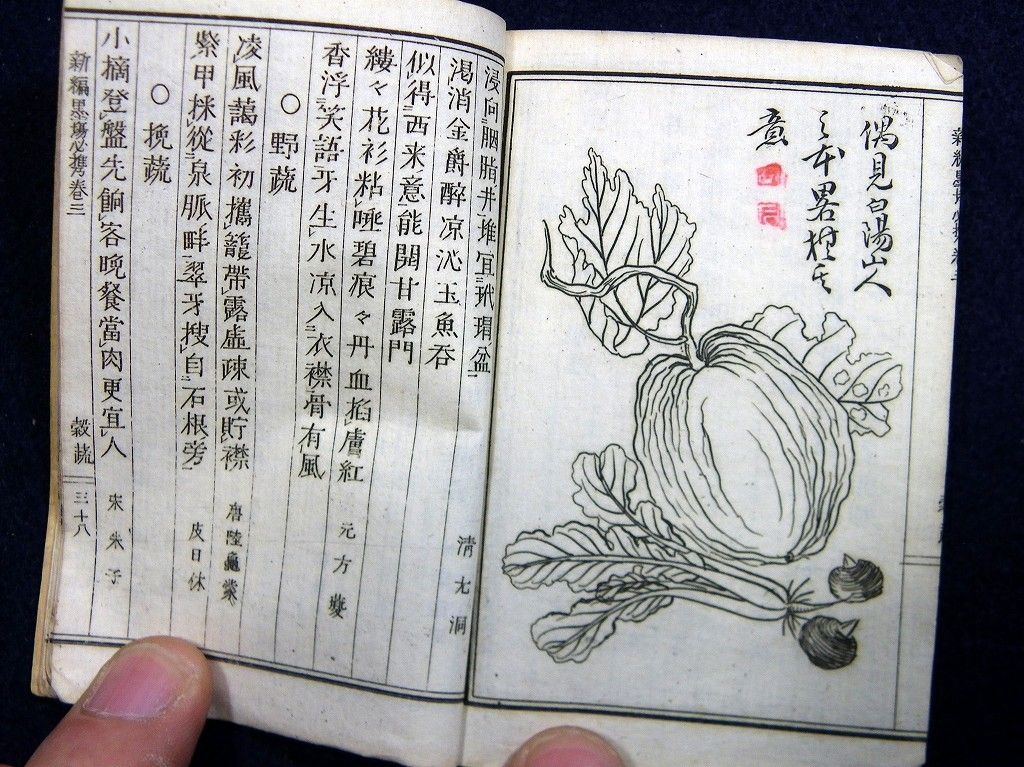 イメージ 6