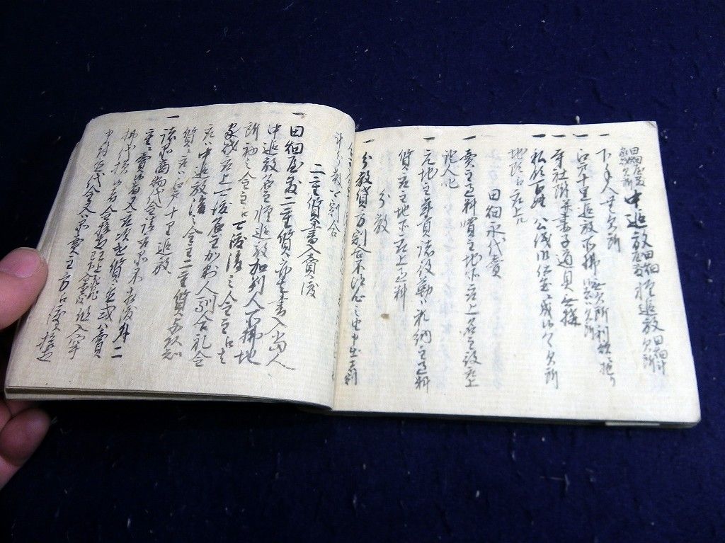 イメージ 9