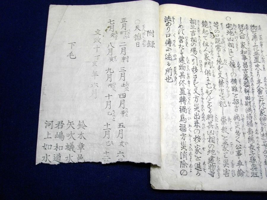 イメージ 6