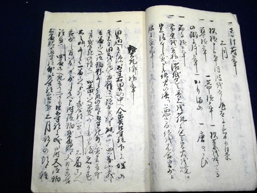 イメージ 3