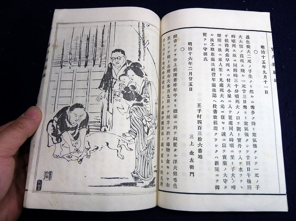 イメージ 7