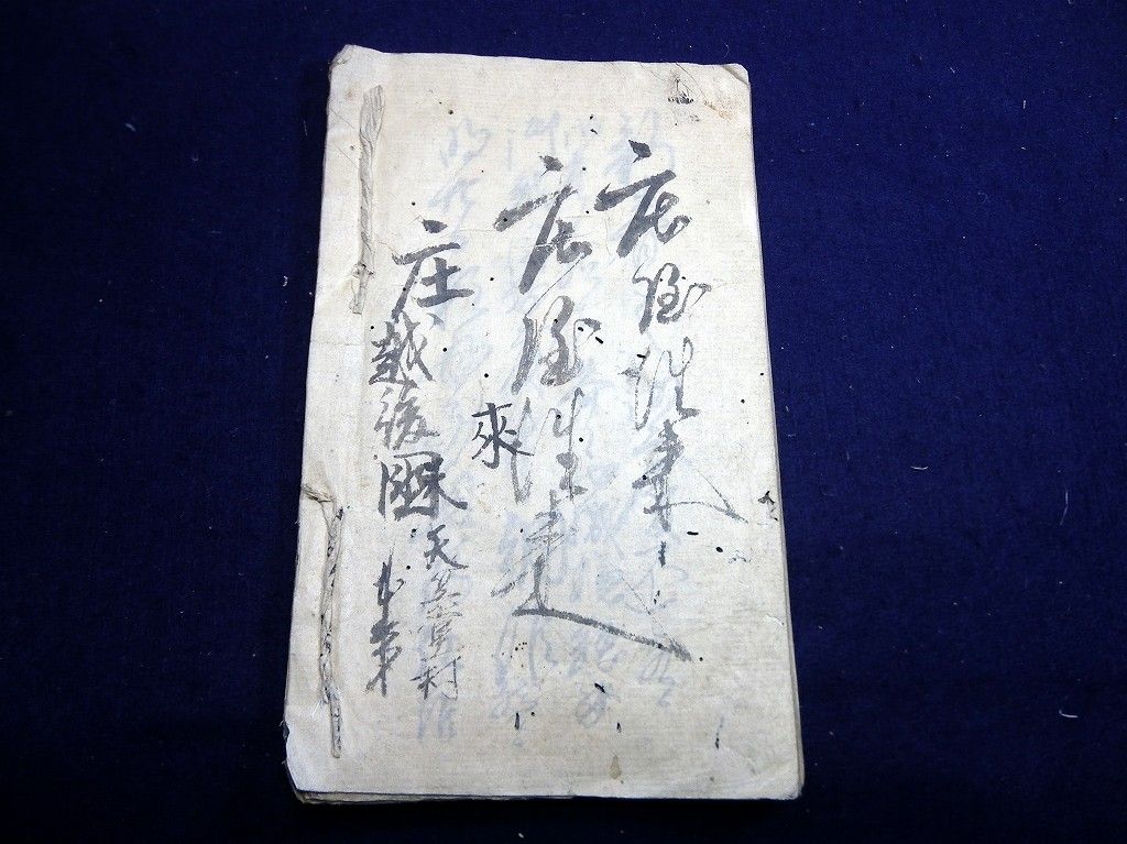 イメージ 8