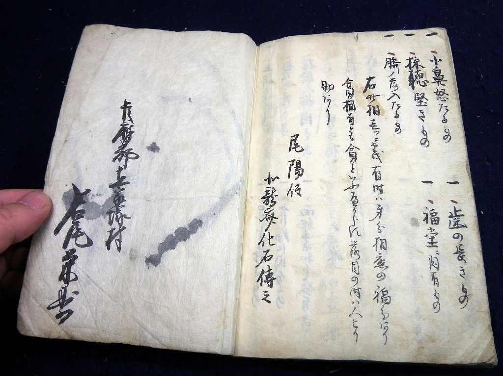 イメージ 10