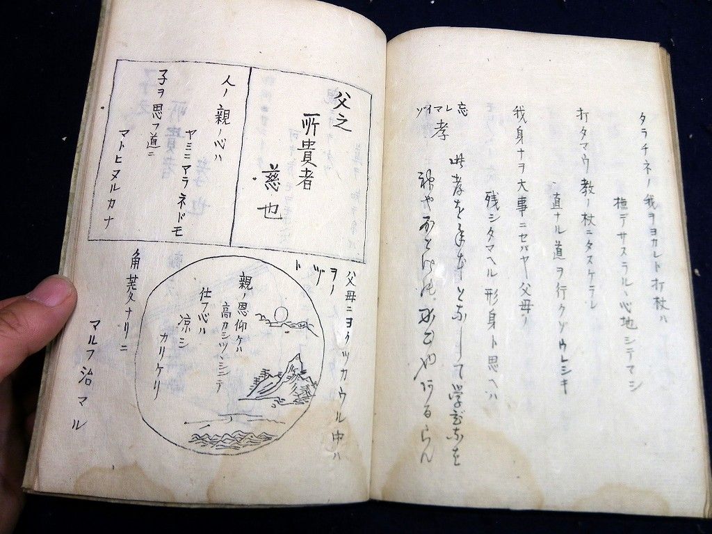 イメージ 14