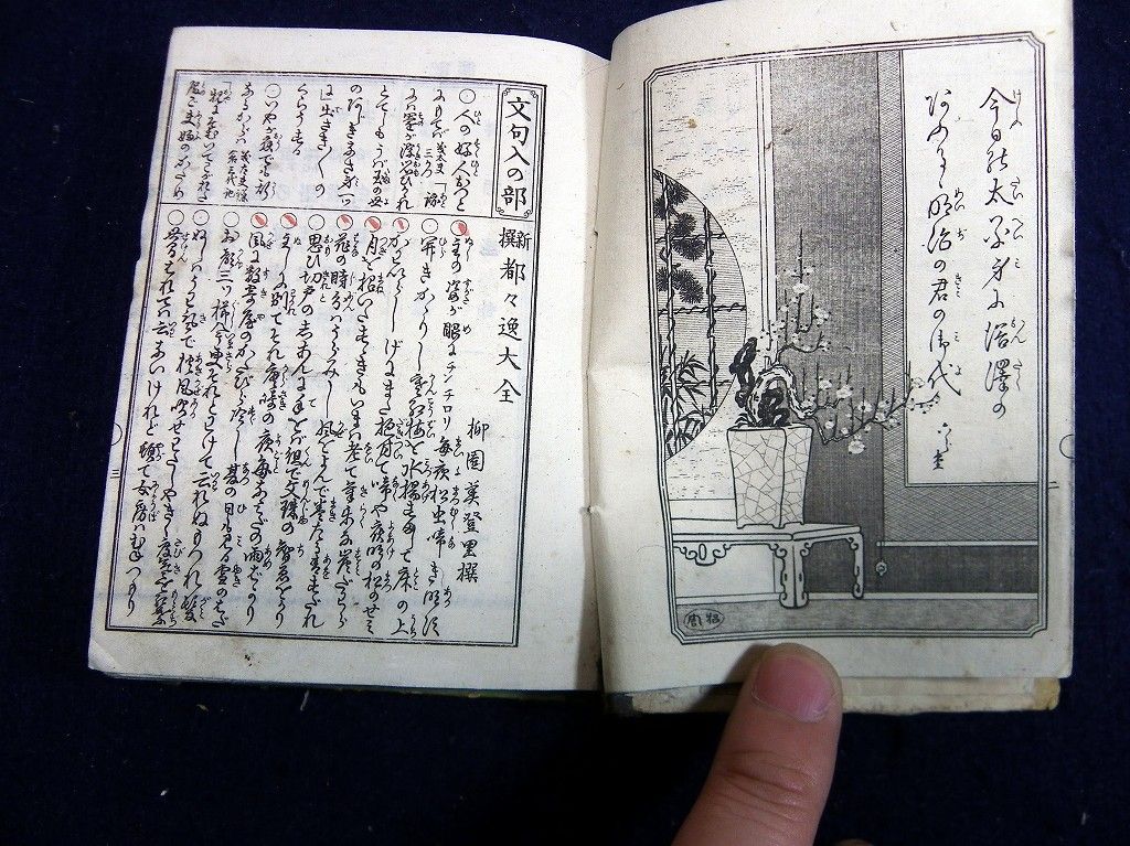 イメージ 3