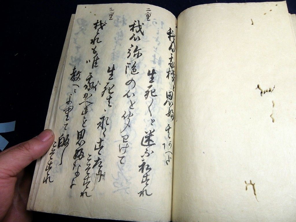 イメージ 7