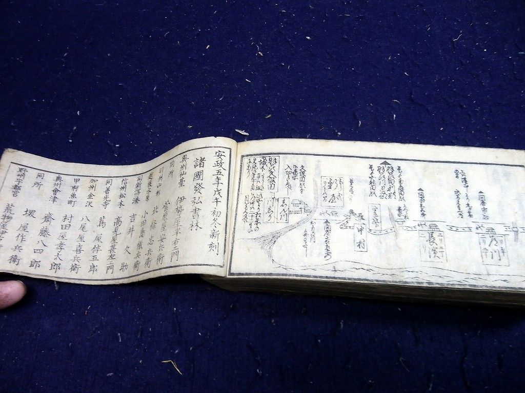 イメージ 14