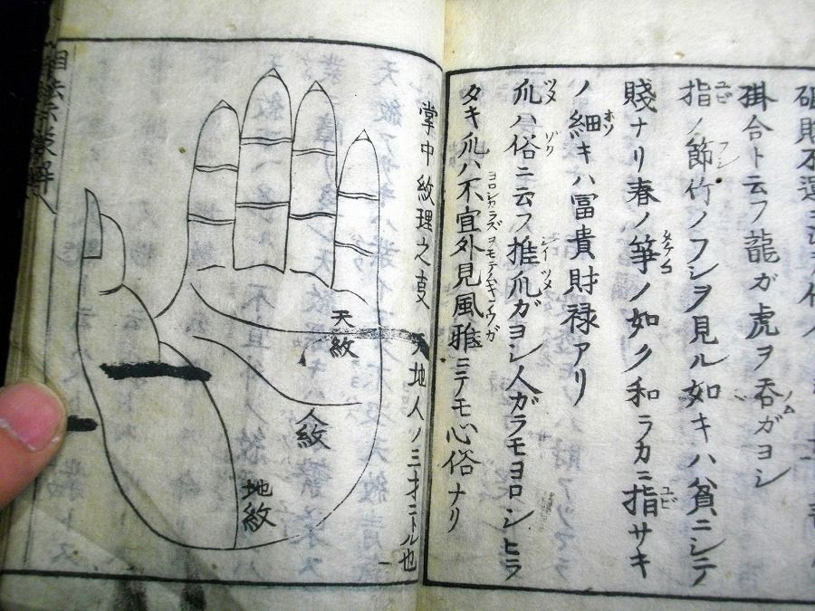 イメージ 9