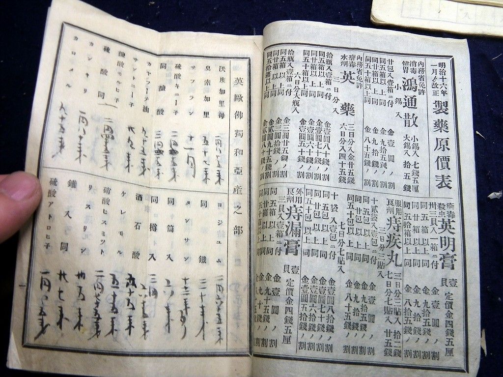 イメージ 8