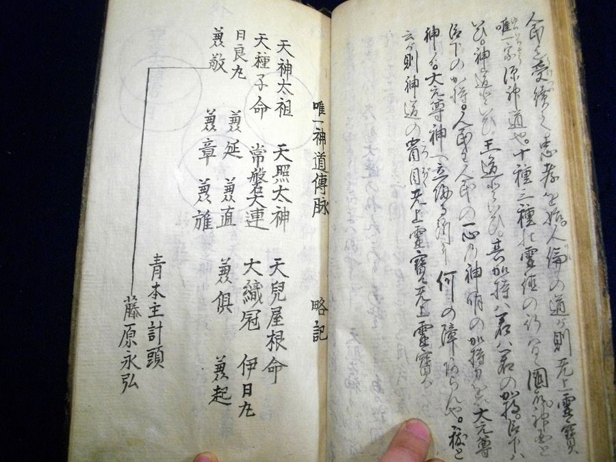 イメージ 6