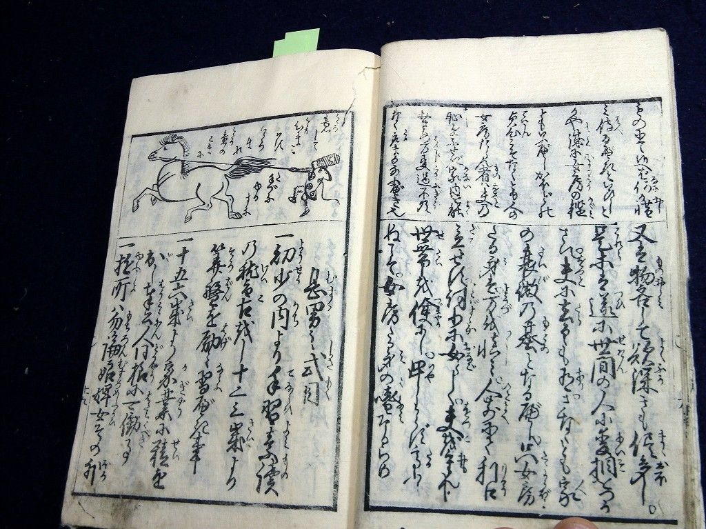 イメージ 5