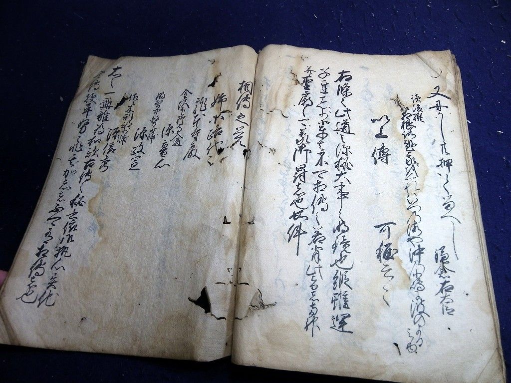 イメージ 12