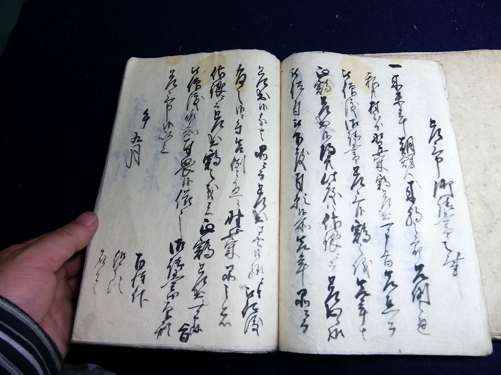 イメージ 15