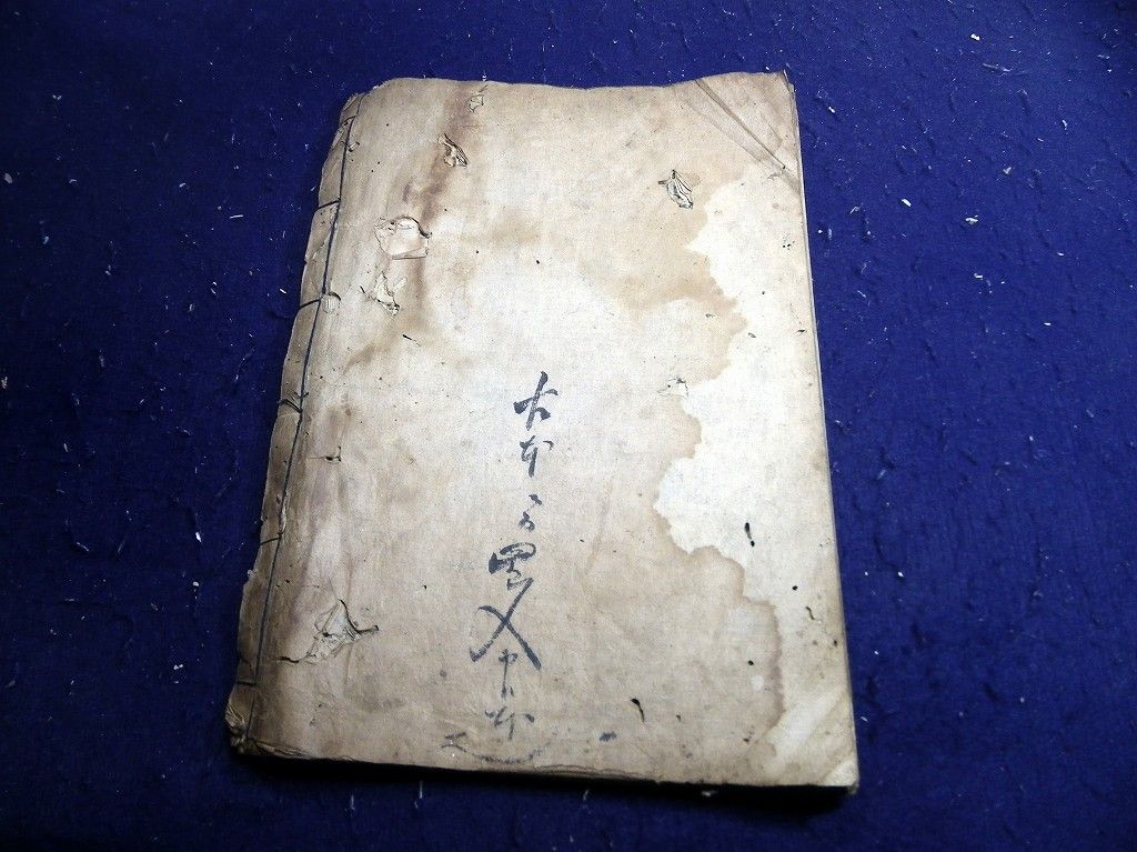 イメージ 14