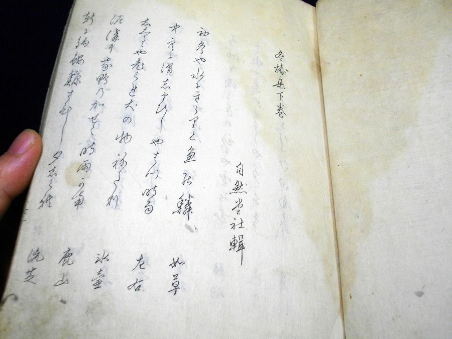 イメージ 5