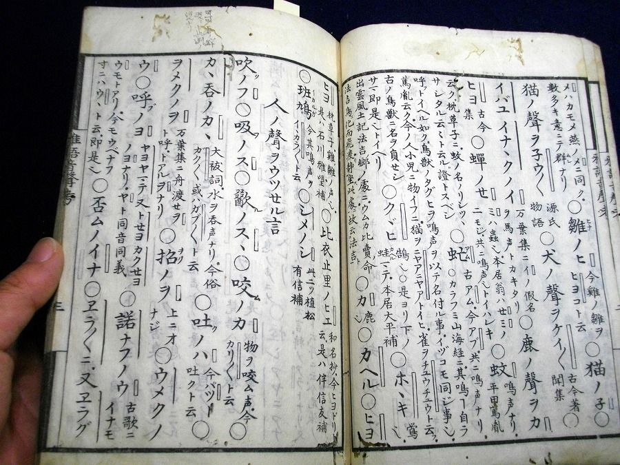 イメージ 3