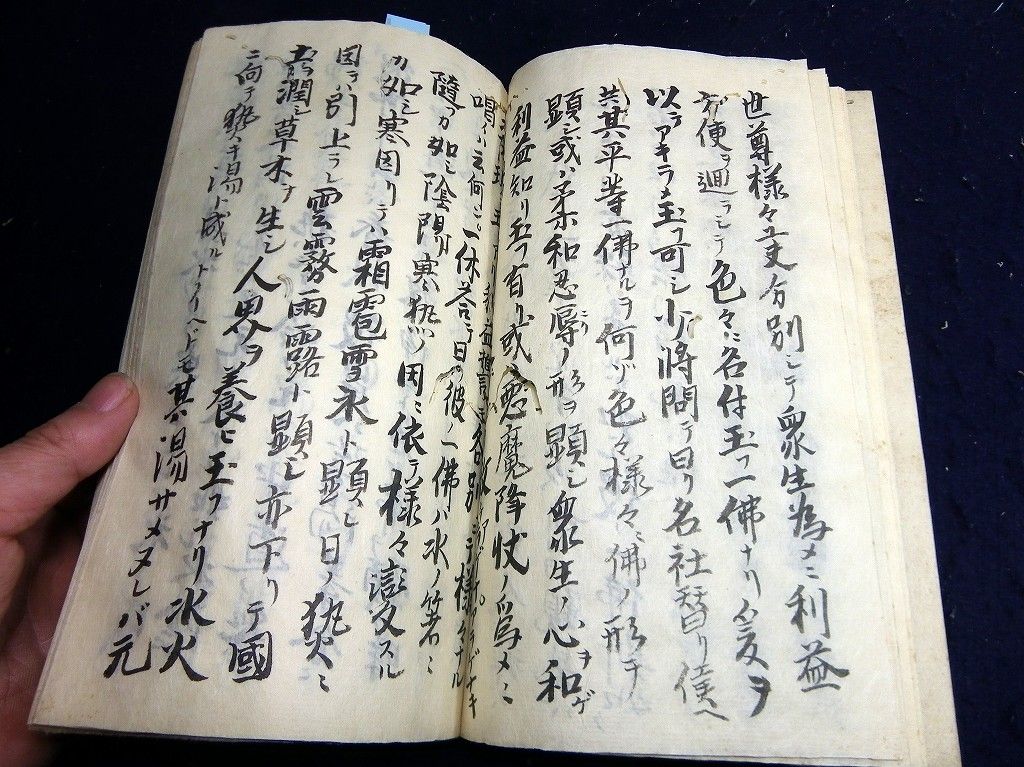 イメージ 4