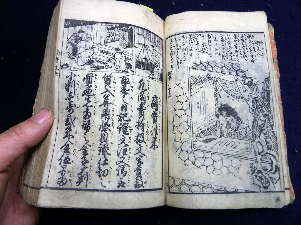 イメージ 6