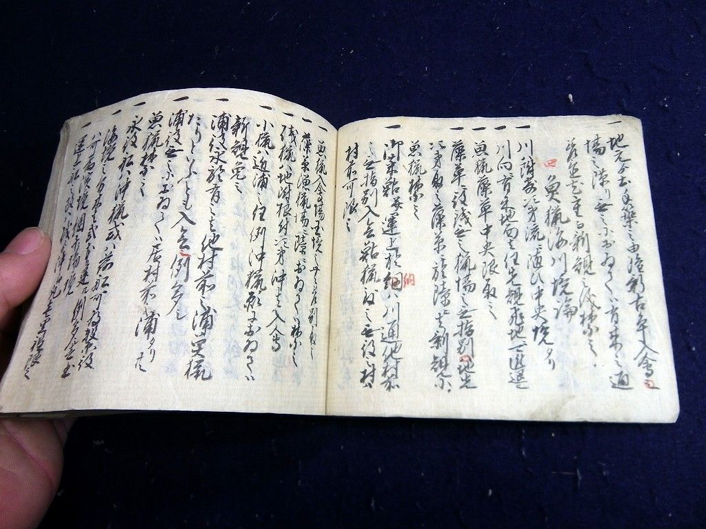 イメージ 5