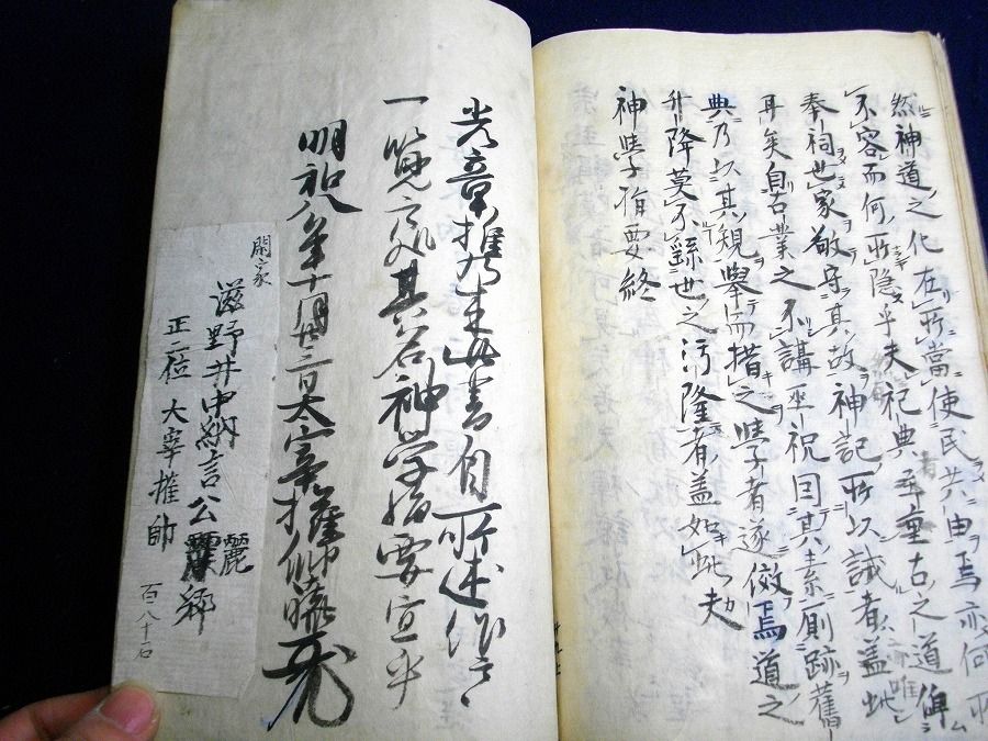 イメージ 7