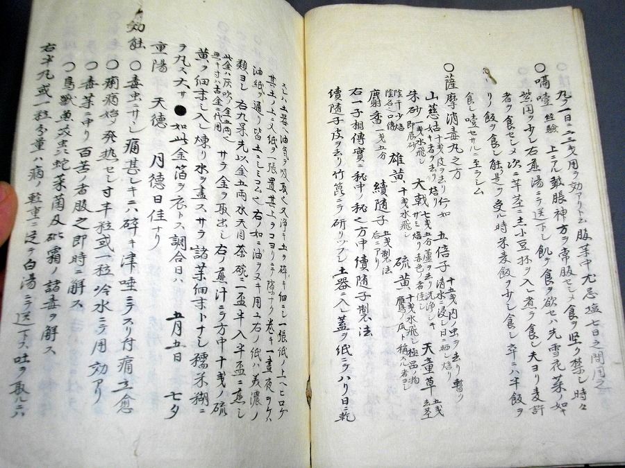 イメージ 5