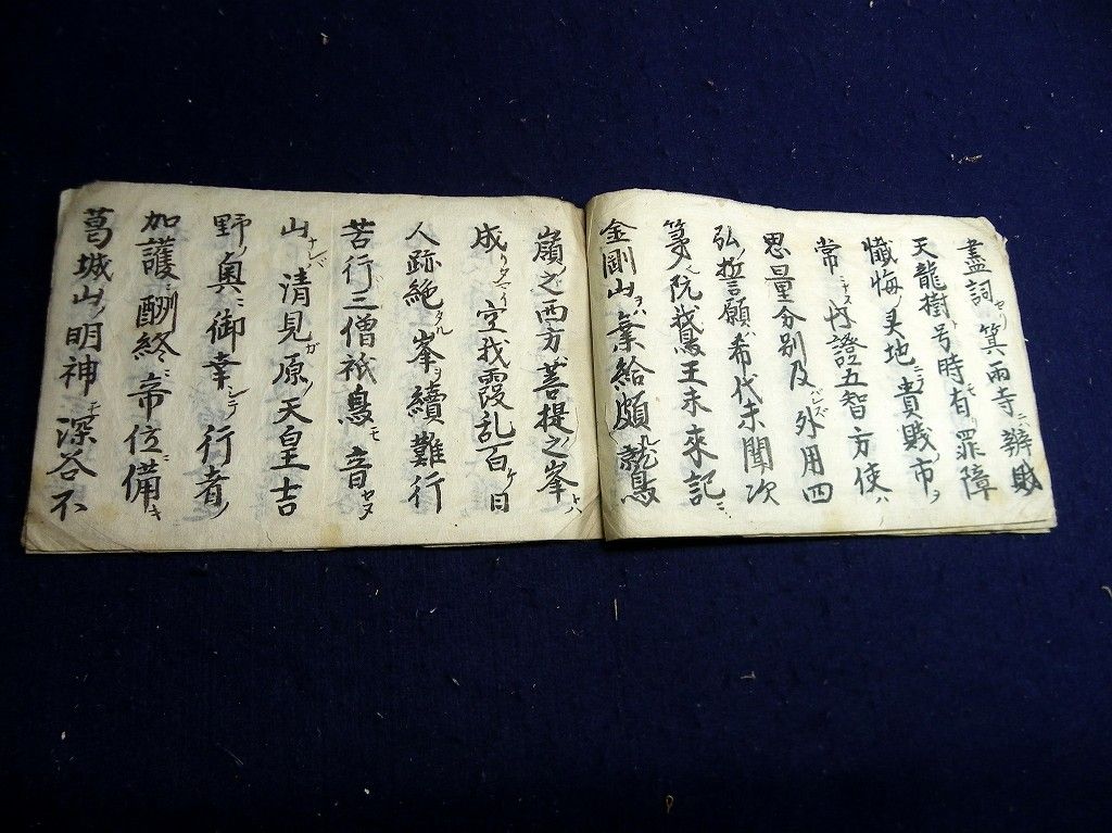 イメージ 5