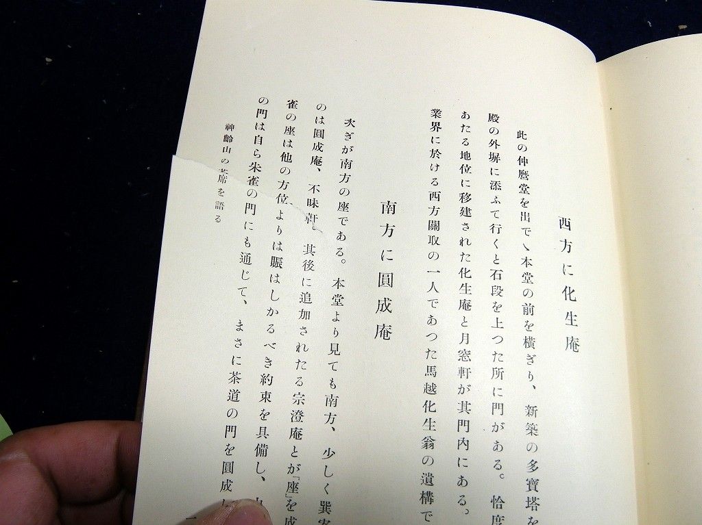 イメージ 8
