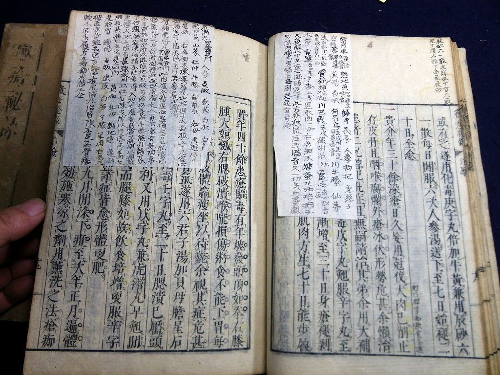 イメージ 7