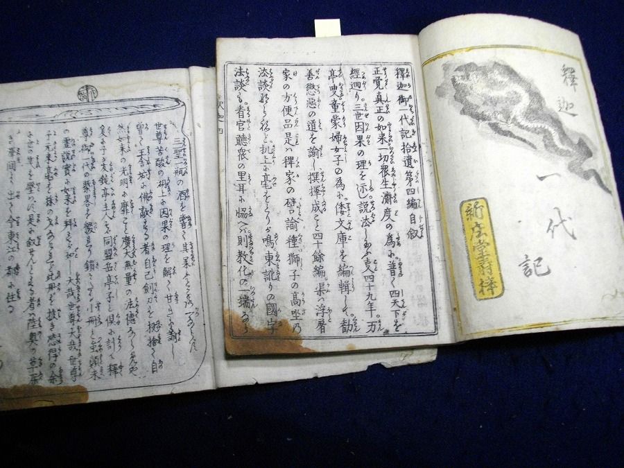 イメージ 7
