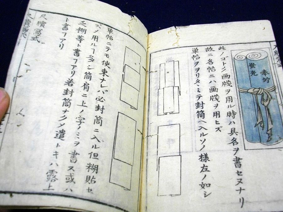 イメージ 5
