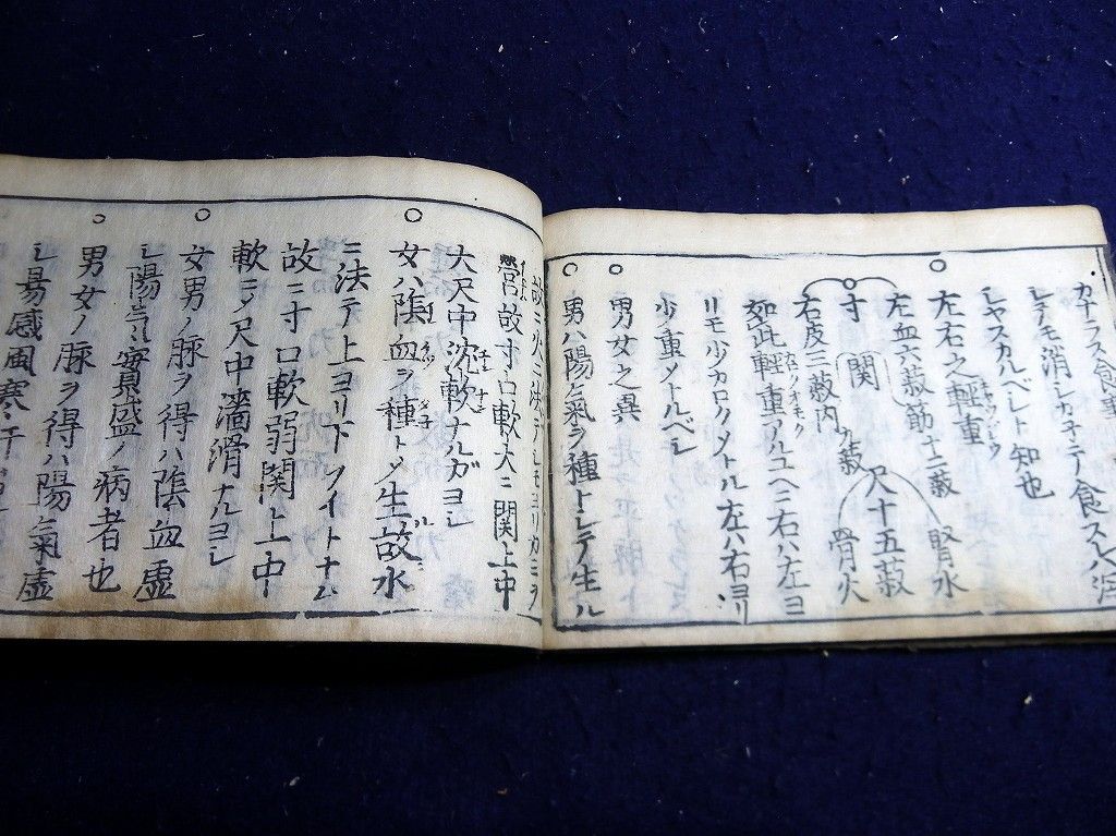 イメージ 8