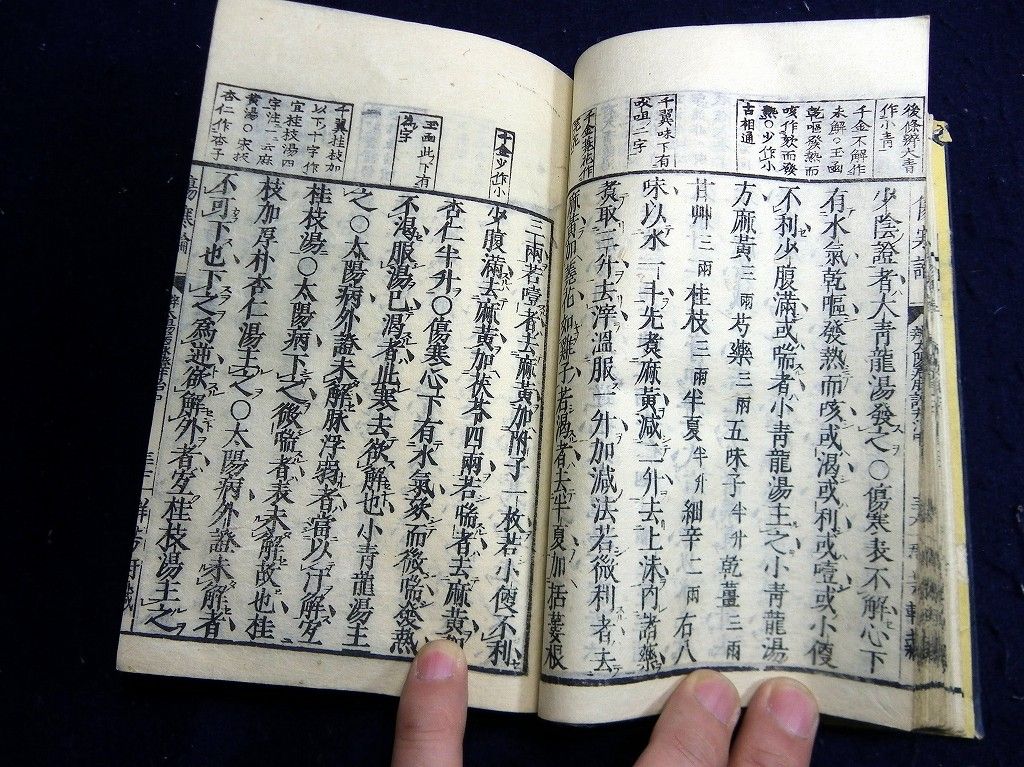 イメージ 5