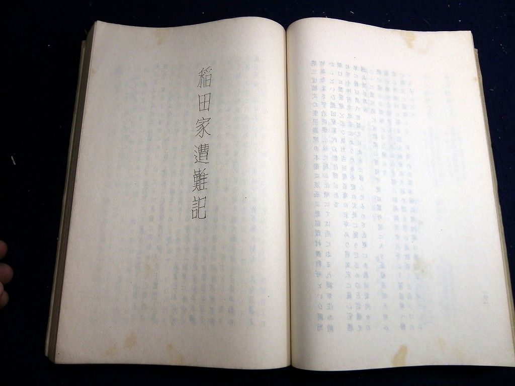 イメージ 7