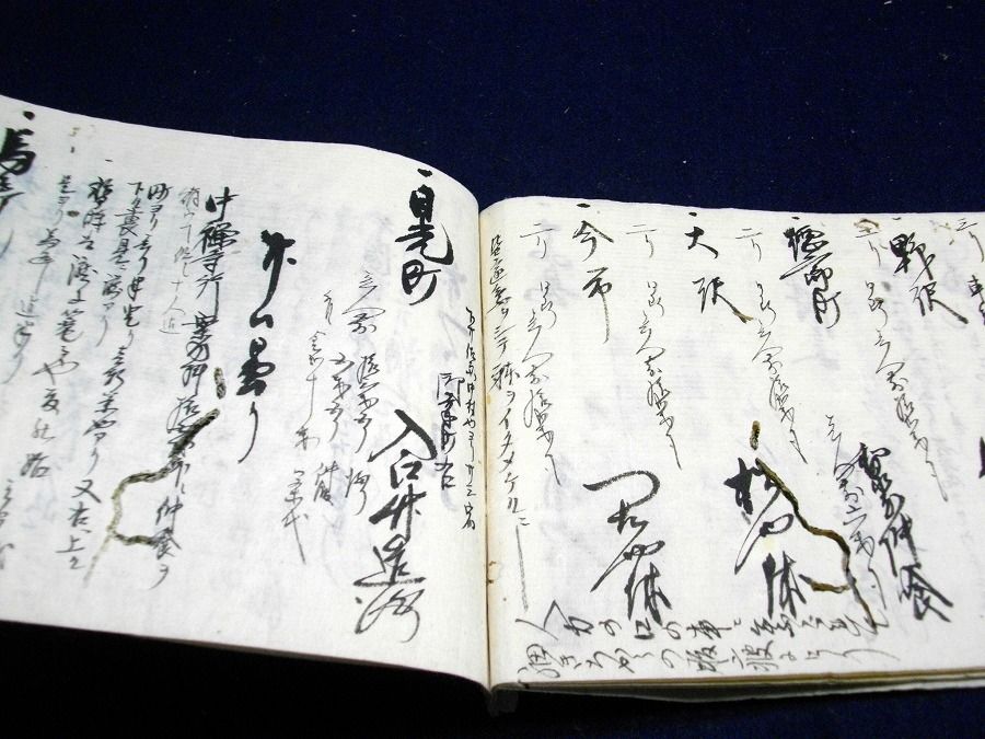 イメージ 5