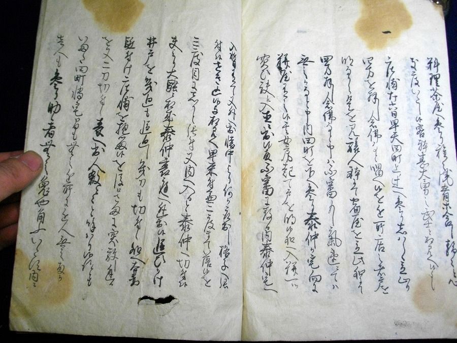 イメージ 7