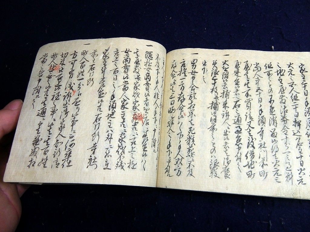 イメージ 7